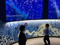 -沈阳海洋探索中心