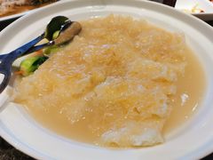 干贝扒广肚-阿庄新豫菜(通泰路店)