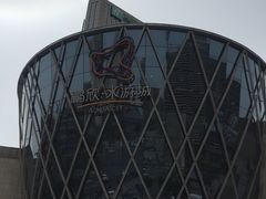 -鹏欣水游城