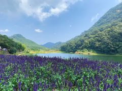 -广州市石门国家森林公园