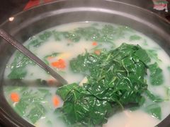 -羽鸽集·乳鸽专门店·地道顺德菜(岭南站店)