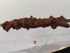 -百龙烤骨头·鲜肉烧烤·小龙虾·KTV(长春总店)