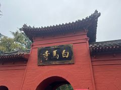 -洛阳白马寺