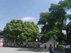 -遵义会议纪念馆