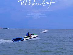 -碧海金沙