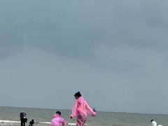 -日照海滨国家森林公园