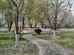 -西北湖绿化广场