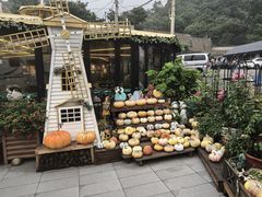 -京北渔家傲
