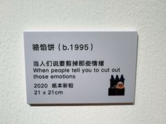 -辰熙ACX星海艺术中心