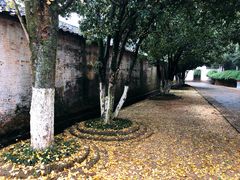 -景德镇古窑民俗博览区