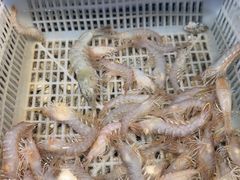 -蓝珊瑚蒸汽海鲜餐厅(龙奥店)