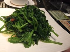 -新兴·金羊座·粤菜点心(乐峰店)