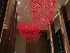 -嘉定凯悦·咖啡厅