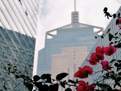 -香港会议展览中心演讲厅