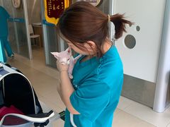 -美迦爱-牙专科·兔科·骨科诊疗中心(北苑店)