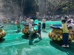 -西双版纳原始森林公园