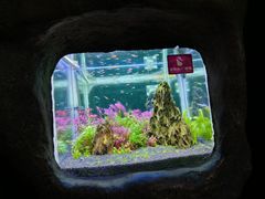 -郑州海洋馆