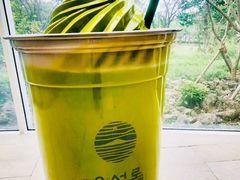 -雪绿茶博物馆
