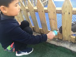 -萌宠亲子动物乐园(槐房万达店)