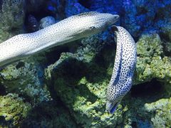 -福州罗源湾海洋世界旅游区