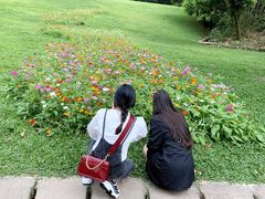 -深圳仙湖植物园-停车场