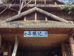 -西双版纳原始森林公园