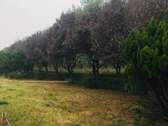 -汉景帝阳陵博物院