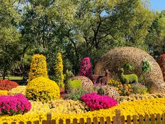 -上海共青森林公园