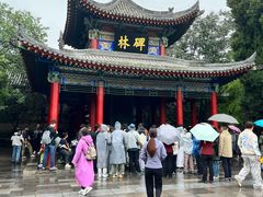 -醉长安(钟楼旗舰店)