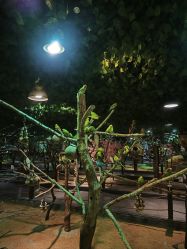 -酷嗒动物文化乐园(cutezoo西溪乐天城店)