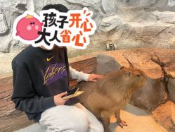 -Zoolung Zoolung动物主题公园(海信广场店)