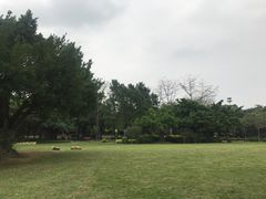 -南宁南湖公园