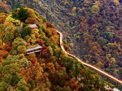-少华山国家森林公园