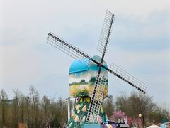-荷兰花海