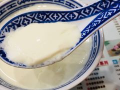 招牌姜撞奶任意配-广信牛奶甜品世家(台东店)