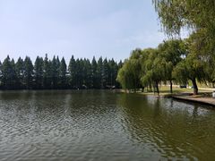 -天目湖山水园