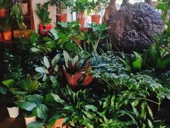 -慢丽江·云南野生菌土鸡锅(西山店)
