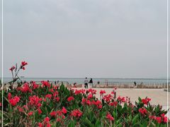 -东疆建设开发纪念公园