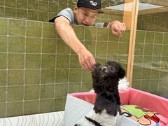 -帕帕拉兹宠物(亚洲旗舰店)