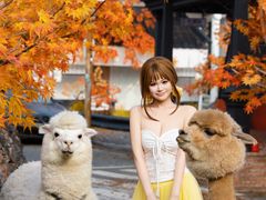 -Blue Concept Cafe&Farm·關於藍