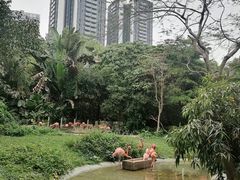 -深圳野生动物园