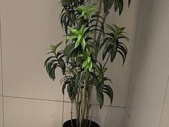 -东方威尼斯温泉酒店