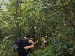 -綦江古剑山