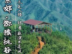 -大岭沟猕猴桃谷风景区