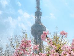 -文华公园(禅城区)