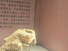 -咸宁市博物馆