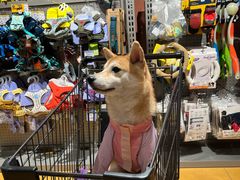 -MARSMART PETS火星宠物超市(1733店)