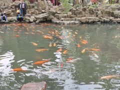 -豫园