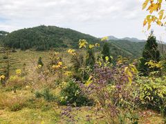 -永泰中国云顶