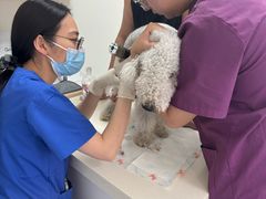 -全心全意动物诊疗中心医院(北苑店)
